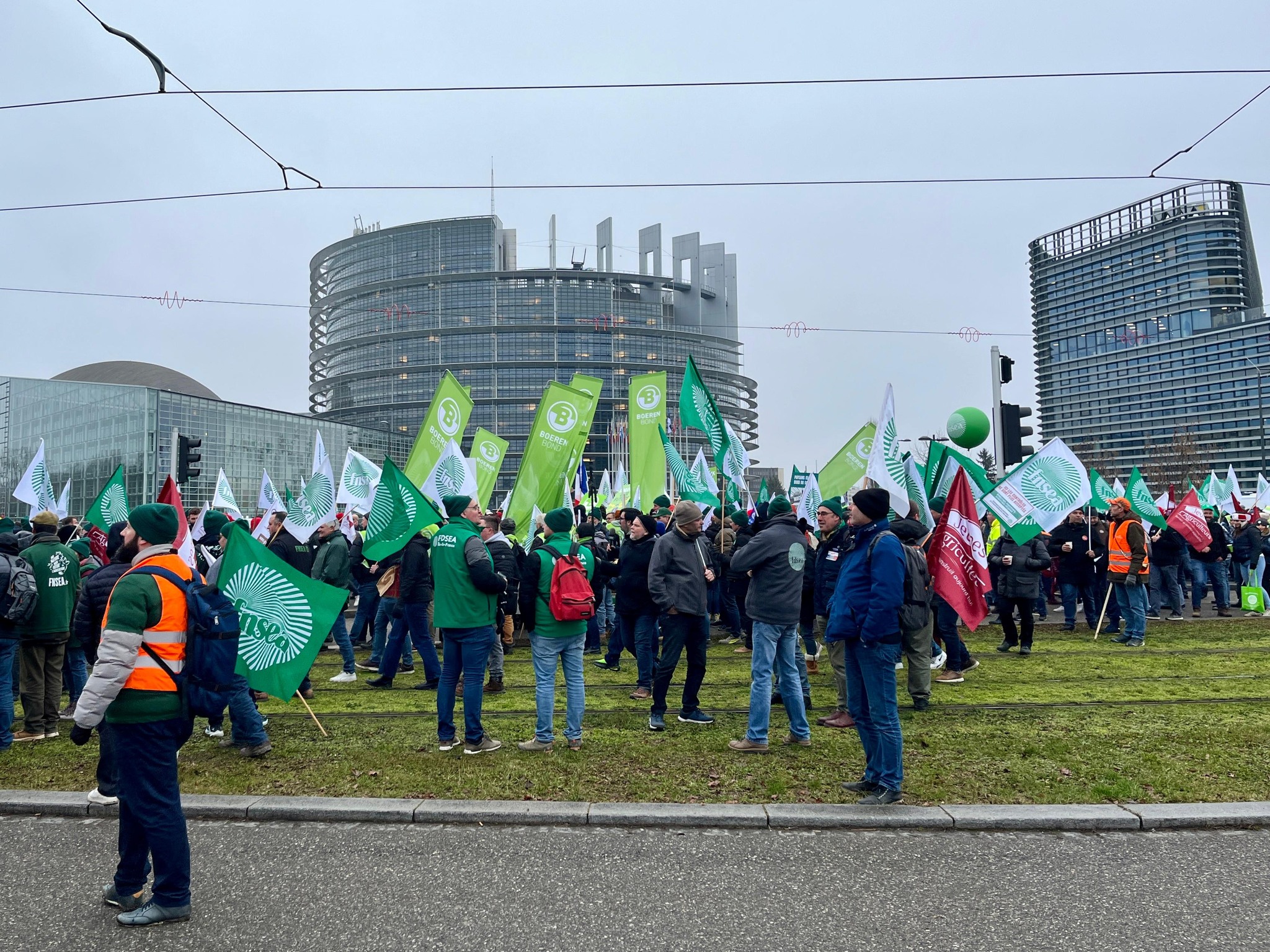 Přezkoumání obchodní dohody EU-Mercosur Soudním dvorem EU - společný hlas zemědělců byl slyšet