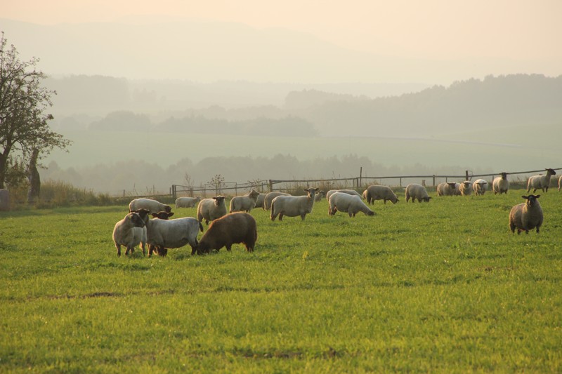 Innovative Design, s.r.o.