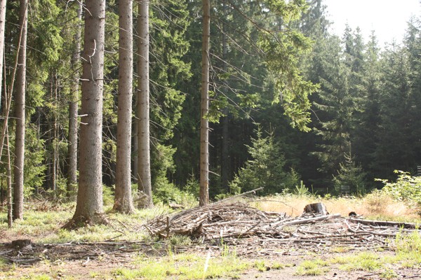 Správní bytové družstvo Nový domov , Praha IČO 00033456