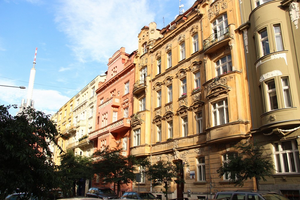 IMG_7890