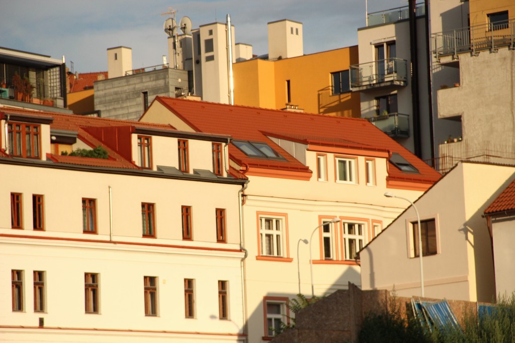 IMG_8010