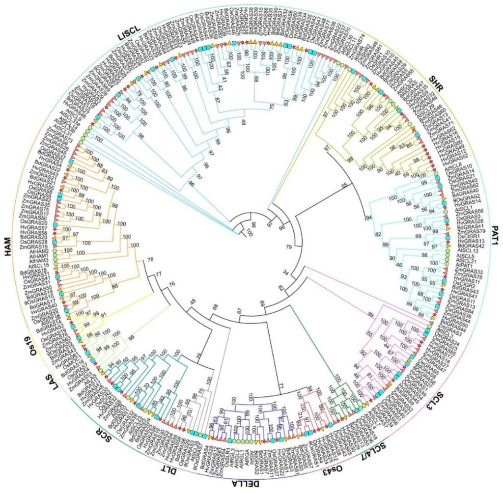 kombinovali hierarchické sekvenován