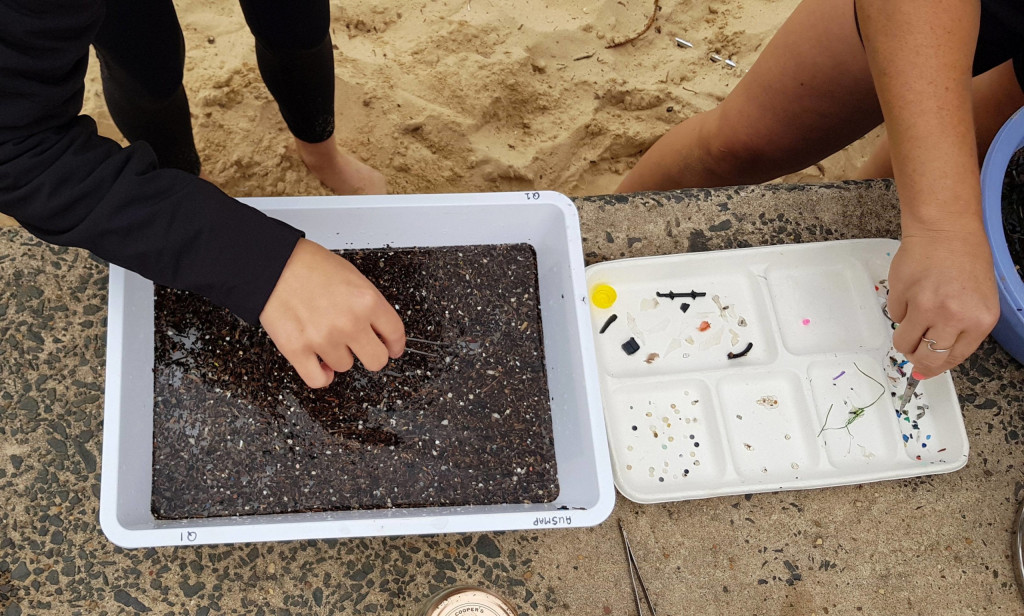Amatérští vědci používají pinzetu k odstranění mikroplastů ze vzorku na pláži Manly Cove v Sydney v dubnu 2021.