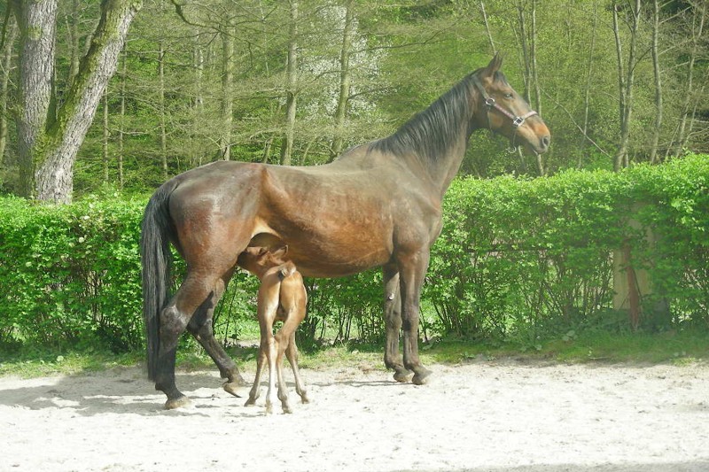 statek 086 – kopie